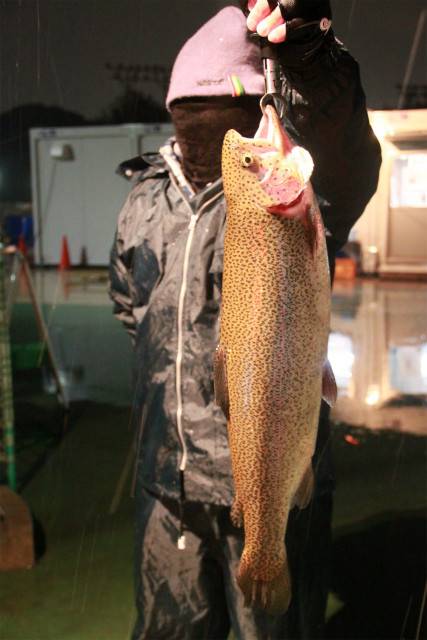 としまえんフィッシングエリア 釣果