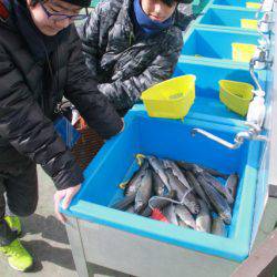 としまえんフィッシングエリア 釣果