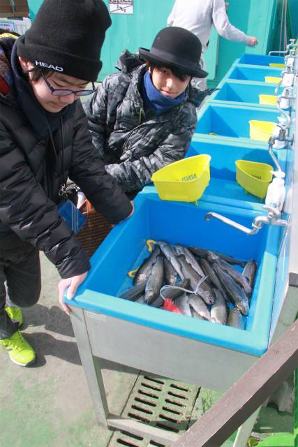 としまえんフィッシングエリア 釣果