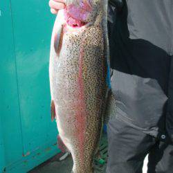 としまえんフィッシングエリア 釣果