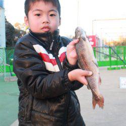 としまえんフィッシングエリア 釣果