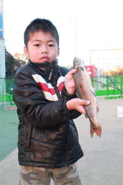 としまえんフィッシングエリア 釣果