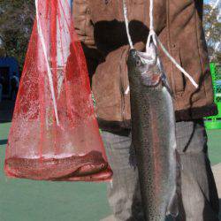 としまえんフィッシングエリア 釣果