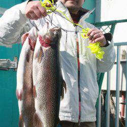 としまえんフィッシングエリア 釣果