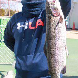 としまえんフィッシングエリア 釣果