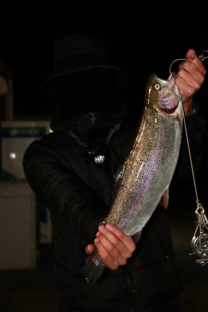 としまえんフィッシングエリア 釣果