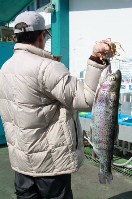 としまえんフィッシングエリア 釣果