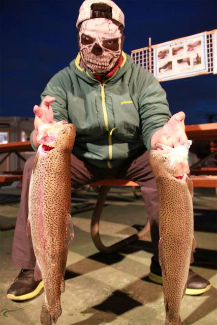 としまえんフィッシングエリア 釣果