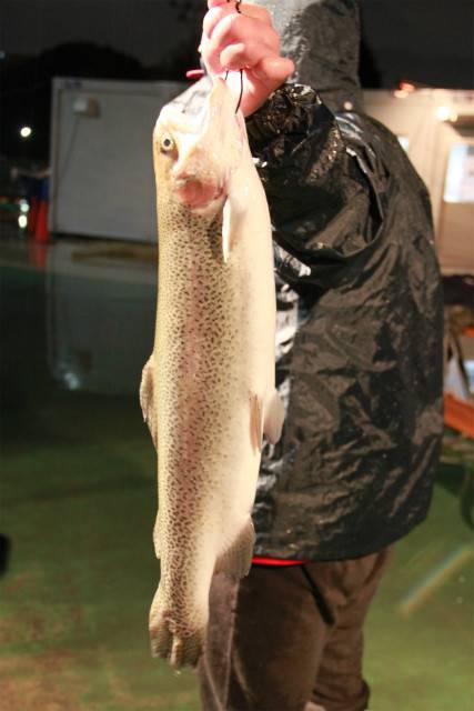 としまえんフィッシングエリア 釣果