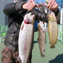 としまえんフィッシングエリア 釣果