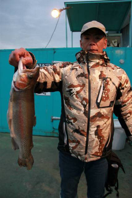 としまえんフィッシングエリア 釣果
