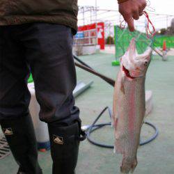 としまえんフィッシングエリア 釣果