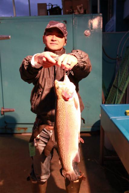 としまえんフィッシングエリア 釣果