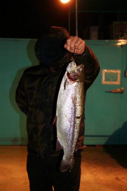 としまえんフィッシングエリア 釣果