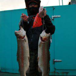 としまえんフィッシングエリア 釣果