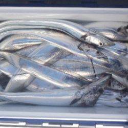 フィッシング キッタカ 釣果