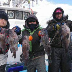 シーランチ 釣果