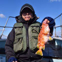 渡船屋たにぐち 釣果