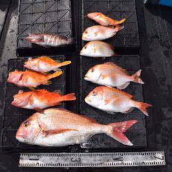 渡船屋たにぐち 釣果