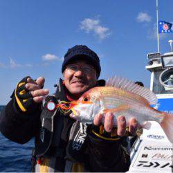 渡船屋たにぐち 釣果