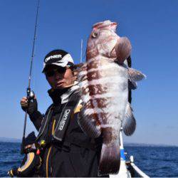 渡船屋たにぐち 釣果