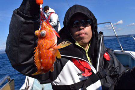 渡船屋たにぐち 釣果