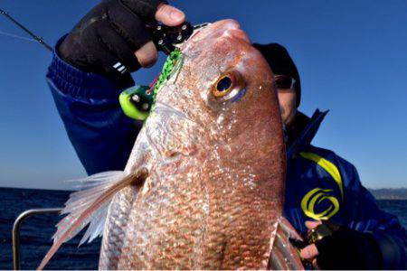 渡船屋たにぐち 釣果