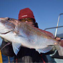 渡船屋たにぐち 釣果