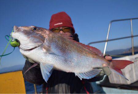 渡船屋たにぐち 釣果