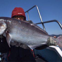 渡船屋たにぐち 釣果