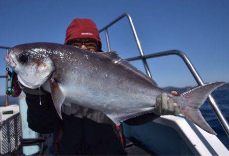 渡船屋たにぐち 釣果