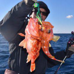 渡船屋たにぐち 釣果