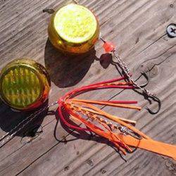 渡船屋たにぐち 釣果