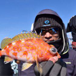 渡船屋たにぐち 釣果
