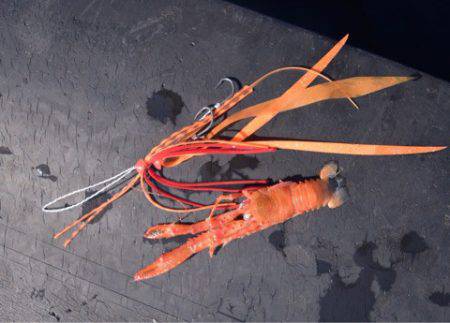 渡船屋たにぐち 釣果