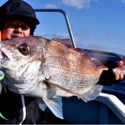渡船屋たにぐち 釣果