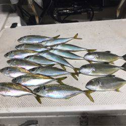 Monster Rush! 釣果