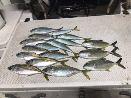 Monster Rush! 釣果