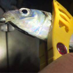 Monster Rush! 釣果