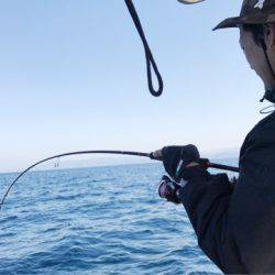 龍神丸(鹿児島) 釣果