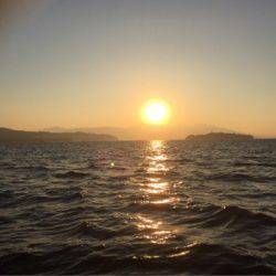 第二 海洋丸 釣果