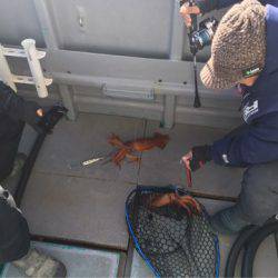 ＴＡＲＯＭＡＲＵ 釣果