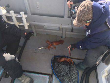 ＴＡＲＯＭＡＲＵ 釣果