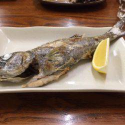 龍神丸(鹿児島) 釣果