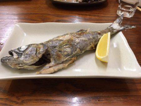 龍神丸(鹿児島) 釣果