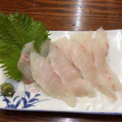 龍神丸(鹿児島) 釣果