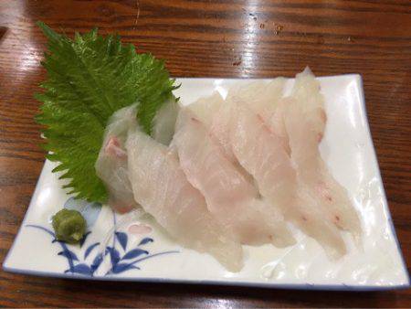 龍神丸(鹿児島) 釣果