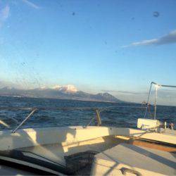 末広丸(熊本) 釣果