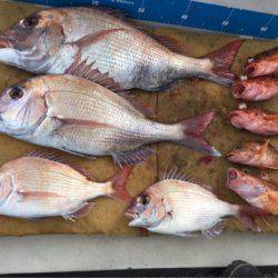 末広丸(熊本) 釣果