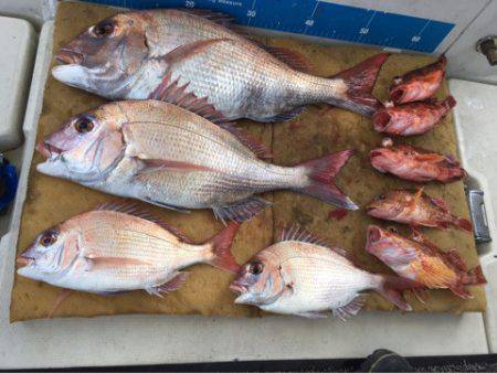 末広丸(熊本) 釣果